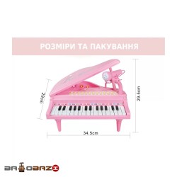 پیانو بزرگ پایه دار آیتم 1504