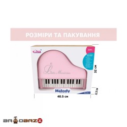 پیانو بزرگ پایه دار آیتم 1504