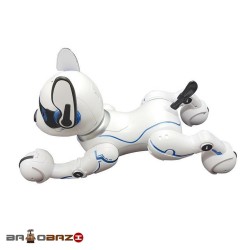 سگ کنترلی شارژی مدل A002