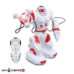 ربات کنترلی حرفه ای آیتم 28091