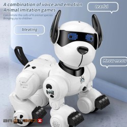 ربات سگ کنترلی آیتم K27