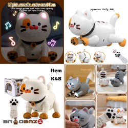 کنترلی گربه هوشمند شارژی برند LE NENG TOYS  آیتم k48