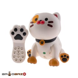 کنترلی گربه هوشمند شارژی برند LE NENG TOYS  آیتم k48