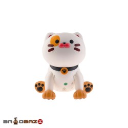 کنترلی گربه هوشمند شارژی برند LE NENG TOYS  آیتم k48