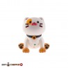 کنترلی گربه هوشمند شارژی برند LE NENG TOYS  آیتم k48